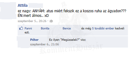Koszos ruha
 
