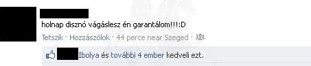 Disznóvágás
 
