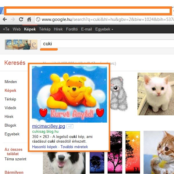 Google...cuki FAIL!
 
