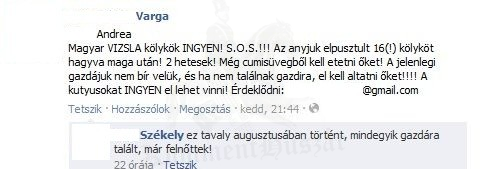 Kicsit lamaradt...
 
