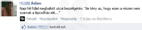 Utcai beszélgetés
 
