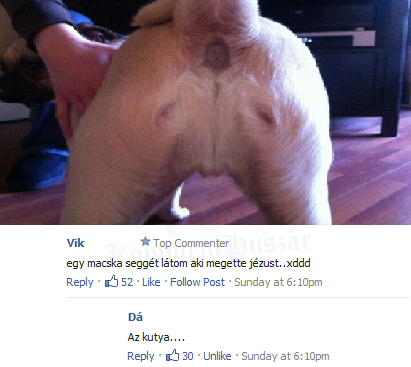 Mit látsz a képen?
 
