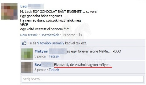 Egy költő veszett el benne...
 
