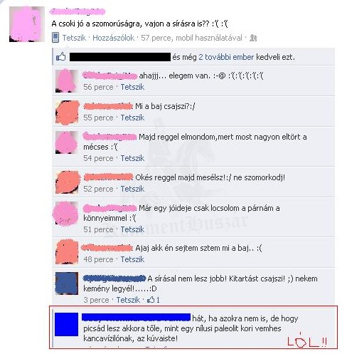 water ló
 
