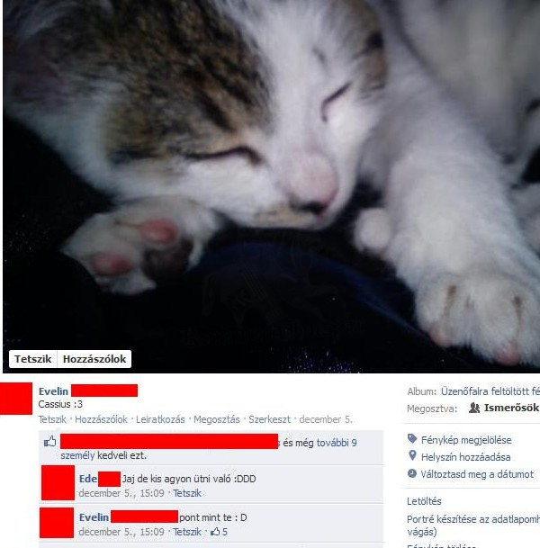 Visszanyal a fagyi
 
