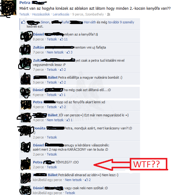 Petra és a kenyőfa
 
