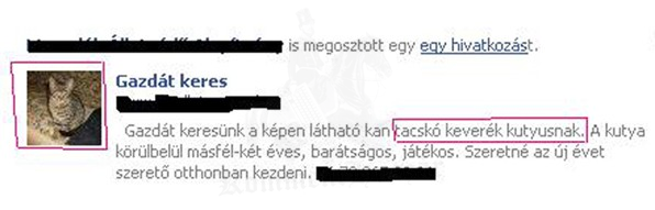 Gazdit kereső citya
 
