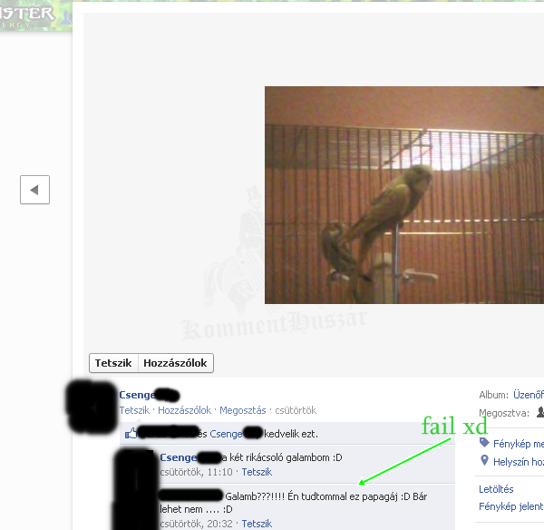 Galamb vagy Papagáj xd
 
