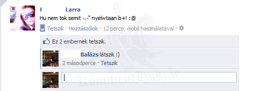 Ez a fránya nyelvtan...:)
 
