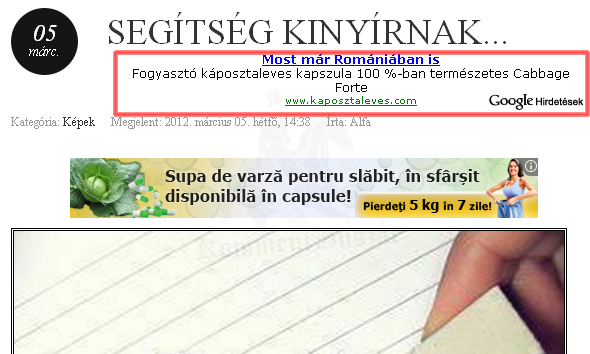 100% ban káposztaleves
 
