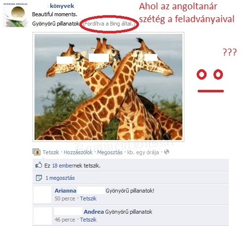 Hónapok óta nem tud a Bingről
 
